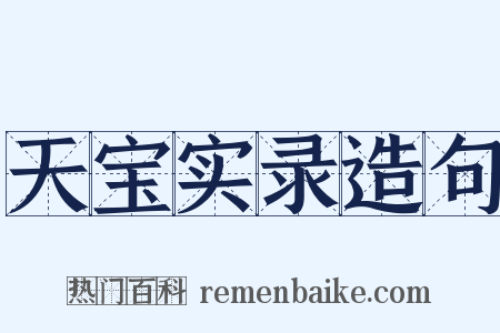 天宝实录造句是什么意思的图片